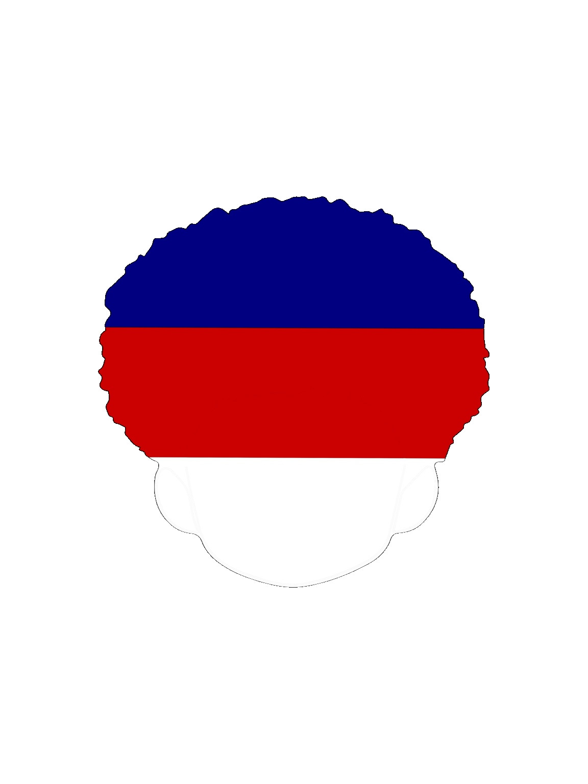 Flag logo